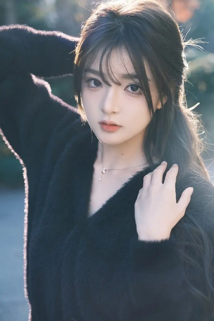 12123界面示意图